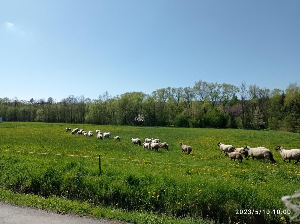 Gospodarstwo Agroturystyczne U Stasikow Спитковице Екстериор снимка